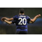 Manchester United 2011-2013 v. Persie #20 Champions League Homekit Nameset Printing 