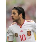 FIFA World Cup 2010-2016 and Euro Cup Friendly Black Color Sleeve Soccer Patch / Badge