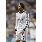 UEFA Champions League 2012-2013 9 Times Trophy (light grey) Sleeve Soccer Patch / Badge