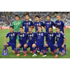 AFC Asia Cup Champions Australia 2015 Champions Badges japan Sleeve Soccer Patch 