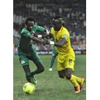 Africa Cup of Nations 2013 & Celebrate Africa CAF Soccer Patch / Badge 
