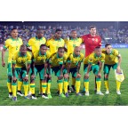 Africa Cup of Nations 2015 & Celebrate Africa CAF Soccer Patch / Badge 
