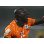 Africa Cup of Nations 2008 Soccer Patch / Badge