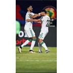 Africa Cup of Nations 2019 & Celebrate Africa CAF Soccer Patch / Badge