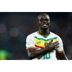 Africa Cup of Nations 2023 & Celebrate Africa CAF Soccer Patch / Badge
