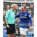 Everton 2017-2018 Angrybirds Sponsor Homekit Soccer Patch / Badge