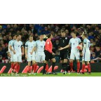 breast cancer care Soccer Patch / Badge(Suitable England, France and Holland)