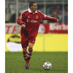 Germany Bundesliga 2005-2006 winner - FC Bayern Munchen Soccer Patch / Badge 