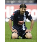Germany Bundesliga 2007-2009 T.Home Sleeve Soccer Patch / Badge