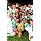 Germany Bundesliga League Cup DFB-Pokal, VW sponsor logo & 72 finale berlin 2015 Patch