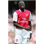 Arsenal Emirates Cup 2007 Sleeve Soccer Patch / Badge