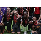 Arsenal Emirates Cup 2013 Sleeve Soccer Patch / Badge