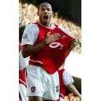 England Premier League 2003-2004 Player Standard Sleeve Soccer Patch / Badge