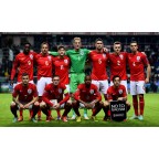 UEFA European Championship 2016 Qualifiers + Play With Heart Sleeve Soccer Patch / Badge 