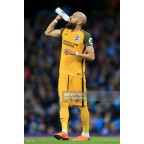 BRIGHTON & HOVE ALBION JD sponsor 2017 Sleeve Soccer Patch / Badge