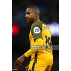 BRIGHTON & HOVE ALBION JD sponsor 2017 Sleeve Soccer Patch / Badge