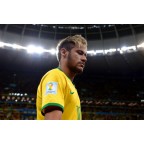 FIFA World Cup 2014 Brazil and Football For Hope Soccer Patch / Badge 