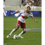 Red Bull 2010-2013 Henry #14 Homekit Nameset Printing