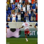 Red Bull 2010-2013 Henry #14 Homekit Nameset Printing