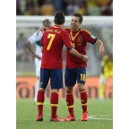 Spain 2012 David Villa #7 EURO Homekit Nameset Printing