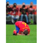Spain 2010 A. Inesta #6 World Cup Homekit Nameset Printing 