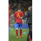Spain 2010 A. Inesta #6 World Cup Homekit Nameset Printing 