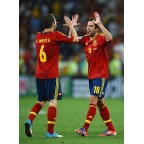 Spain 2012 A.Iniesta #6 EURO Homekit Nameset Printing