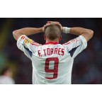 Spain 2004 Torres #9 EURO Awaykit Nameset Printing 