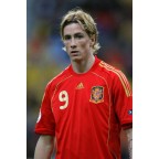Spain 2008 Torres #9 EURO Homekit Nameset Printing 