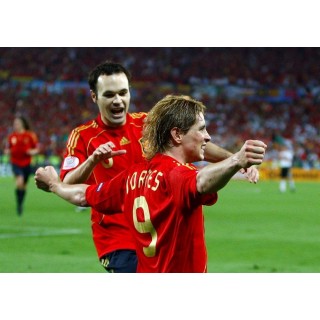 Spain 2008 Torres #9 EURO Homekit Nameset Printing 