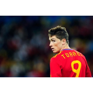 Spain 2010 Torres #9 World Cup Homekit Nameset Printing 