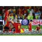 Spain 2012 Torres #9 EURO Homekit Nameset Printing