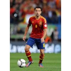Spain 2012 Xavi #8 EURO Homekit Nameset Printing